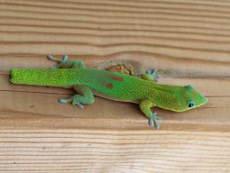 La Réunion au quotidien